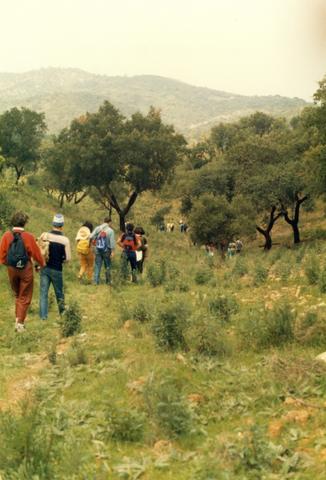 serra de Grandola