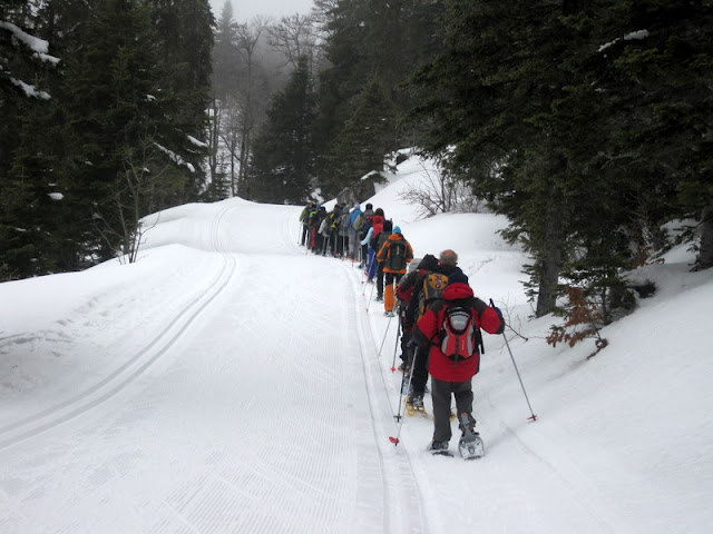 O grupo avança numa pista de ski de fundo