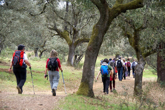 Montes de Toledo