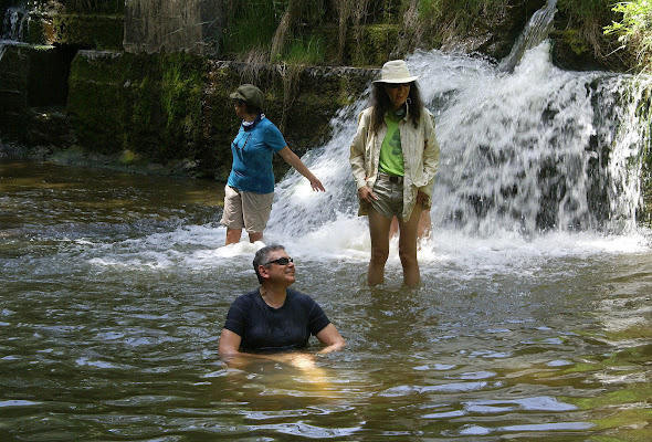 Parque Nacional de Doñana