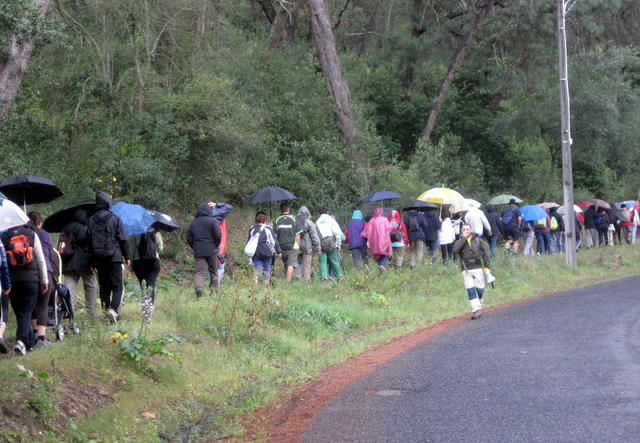 Parque Florestal de Monsanto