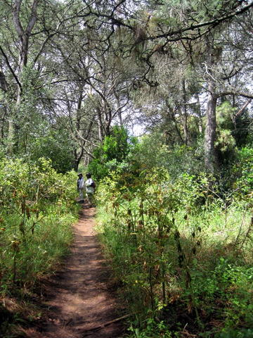Parque Florestal de Monsanto