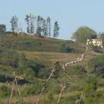 A caminho da Gozundeira