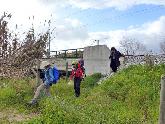 Caminhos de Fátima