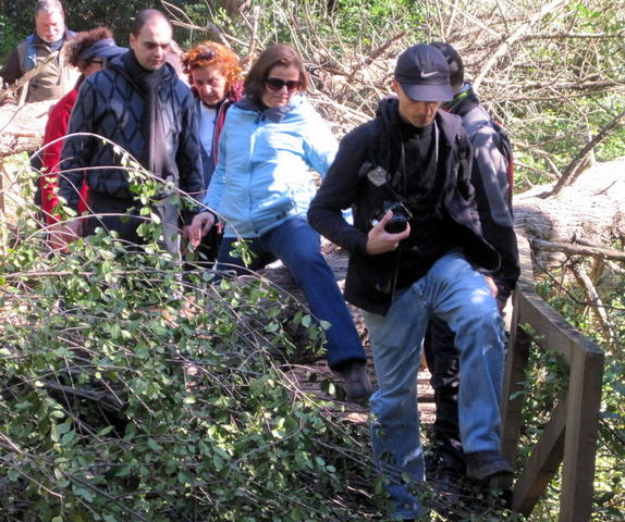 Parque Florestal de Monsanto