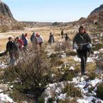 Plantando carvalhos