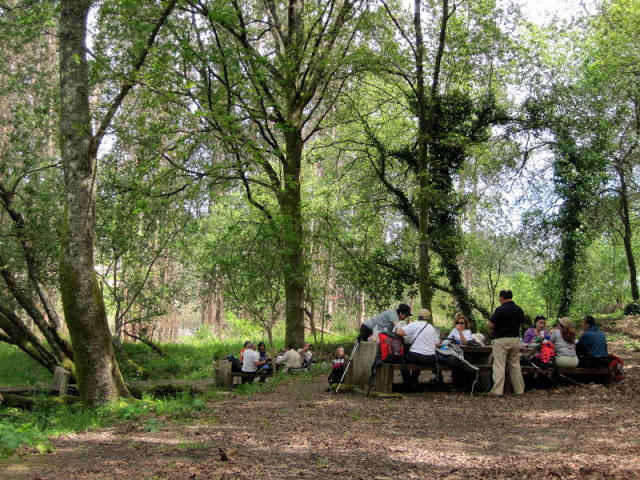 Parque de Merendas de Bravães