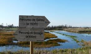 Da Murtosa a Salreu