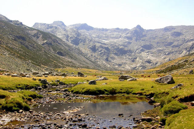 O GDAMO volta a Gredos