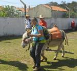 Com os burros do Magoito