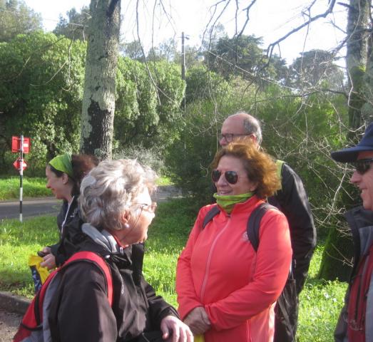 Parque Florestal de Monsanto