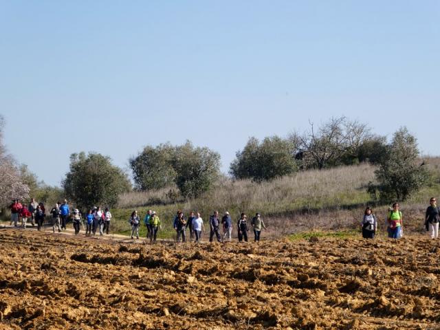 Caminhos de Fátima