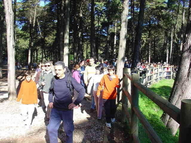 Monsanto - Parque da Pedra