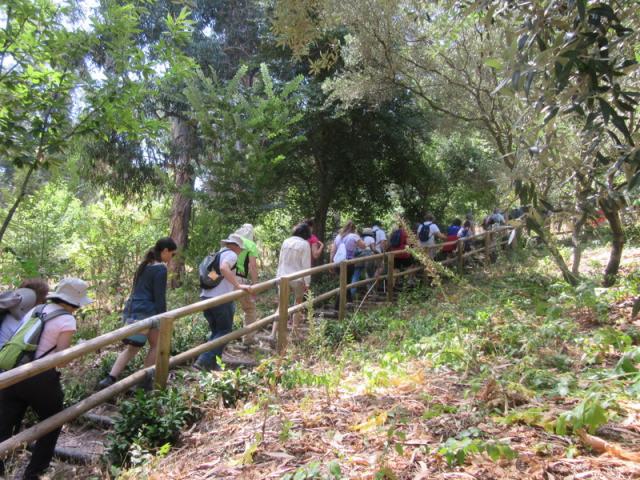 Parque Florestal de Monsanto