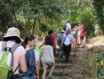 Parque Florestal de Monsanto