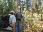 Parque Florestal de Monsanto