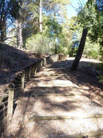 Parque Florestal de Monsanto