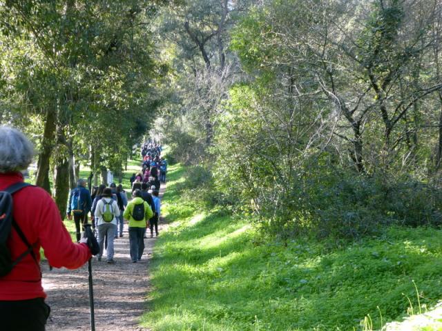 Parque Florestal de Monsanto