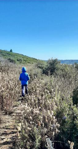 Serra de Carnaxide