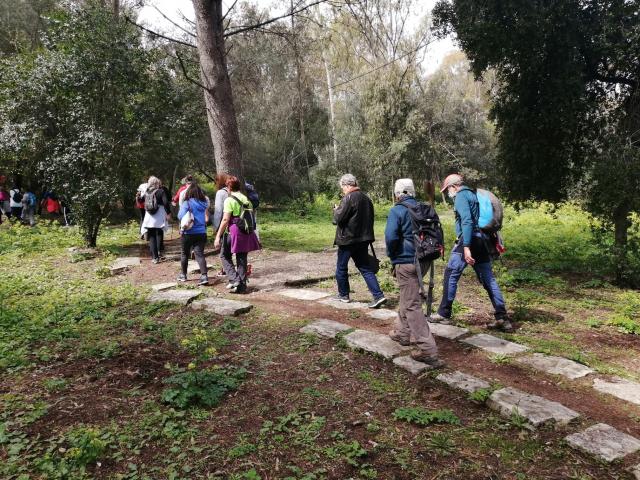 Parque Florestal de Monsanto