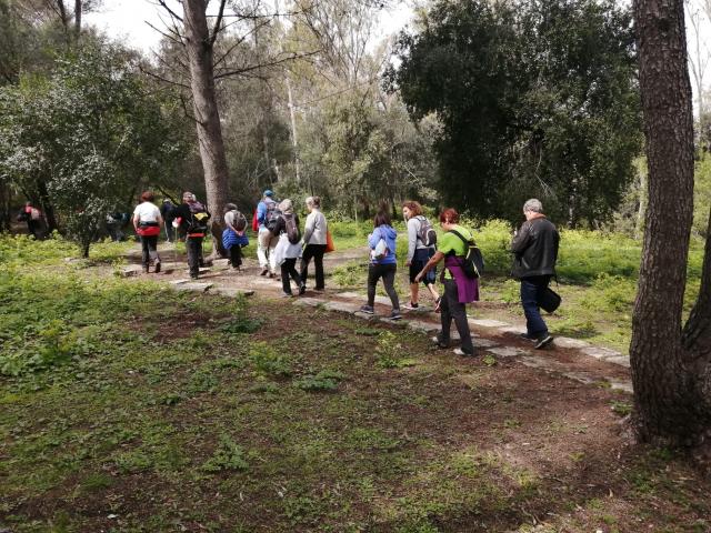 Parque Florestal de Monsanto