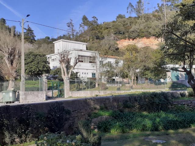 IMG-20250112-WA0020