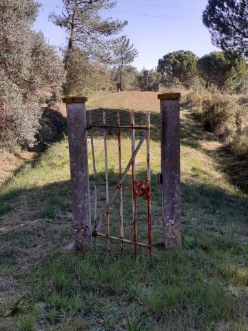 IMG-20250112-WA0039