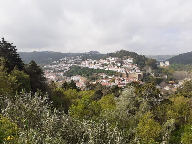 IMG-20250112-WA0043