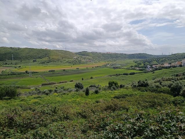 IMG-20250414-WA0006