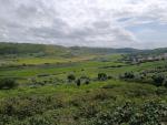 IMG-20250414-WA0006