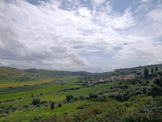 IMG-20250414-WA0005