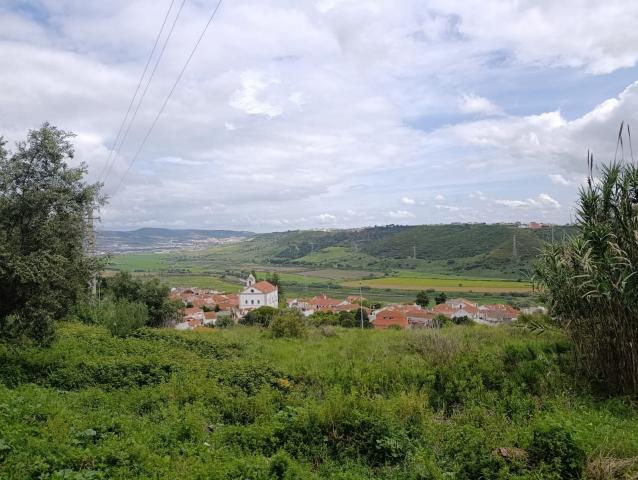 IMG-20250414-WA0009