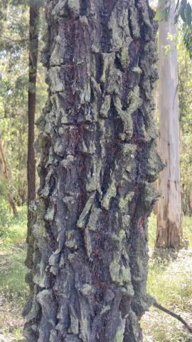 IMG-20250512-WA0021