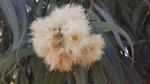 IMG-20250512-WA0020