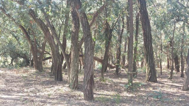 IMG-20250512-WA0023