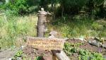 IMG-20250601-WA0017