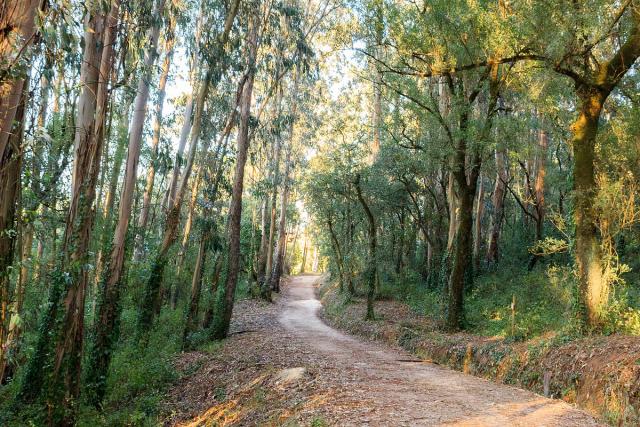 Parque Municipal do Cabeço de Montachique