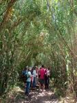 IMG-20250616-WA0008