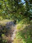 IMG-20250708-WA0020