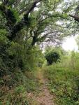 IMG-20250710-WA0010