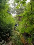 IMG-20250710-WA0014