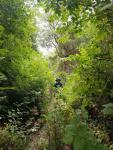 IMG-20250710-WA0015