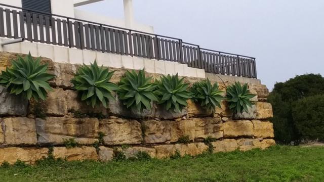 P_20220326_103120_vHDR_On