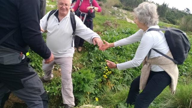 P_20220326_115313_vHDR_On