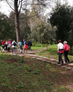 Parque Florestal de Monsanto