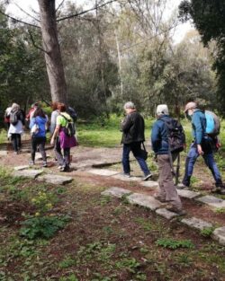 Parque Florestal de Monsanto