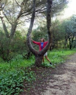 Parque Florestal de Monsanto