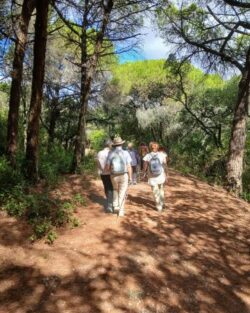 Parque Florestal de Monsanto - Bolotada