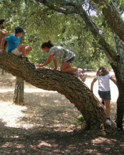 Natal Ar Livre 2025 (crianças dos 6 aos 12 anos)