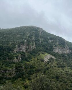 Escalada de Aventura: A essência da liberdade vertical